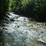بيت ضيافة Landgasthof Zum Alten Reichenbach