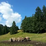 Landgasthof Zum Alten Reichenbach 3* نيسيلفانج