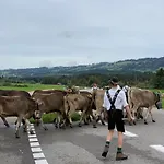 بيت ضيافة Landgasthof Zum Alten Reichenbach نيسيلفانج