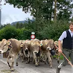 Landgasthof Zum Alten Reichenbach بيت ضيافة نيسيلفانج