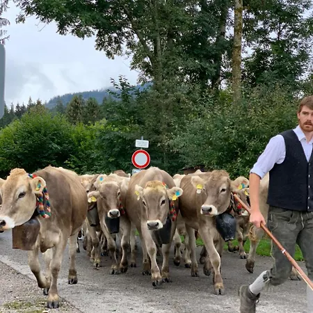 Landgasthof Zum Alten Reichenbach Pensionat Nesselwang