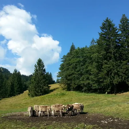 Landgasthof Zum Alten Reichenbach 3* Nesselwang