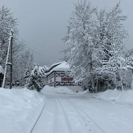 Landgasthof Zum Alten Reichenbach 3* Nesselwang