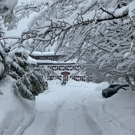 Gæstehus Landgasthof Zum Alten Reichenbach