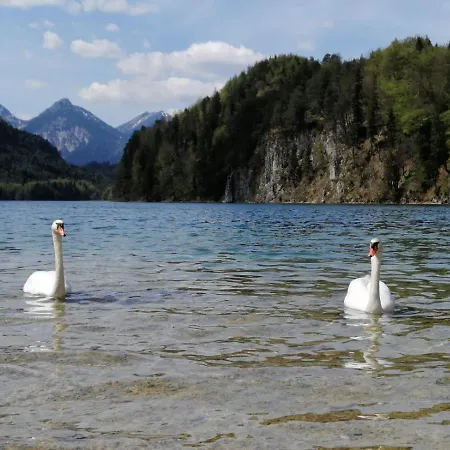 Landgasthof Zum Alten Reichenbach Nesselwang